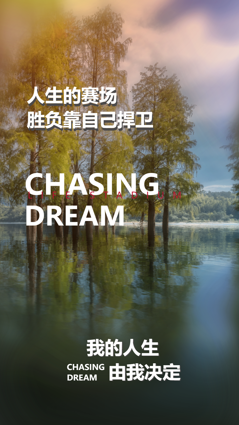 我的人生由我决定摄影图海报