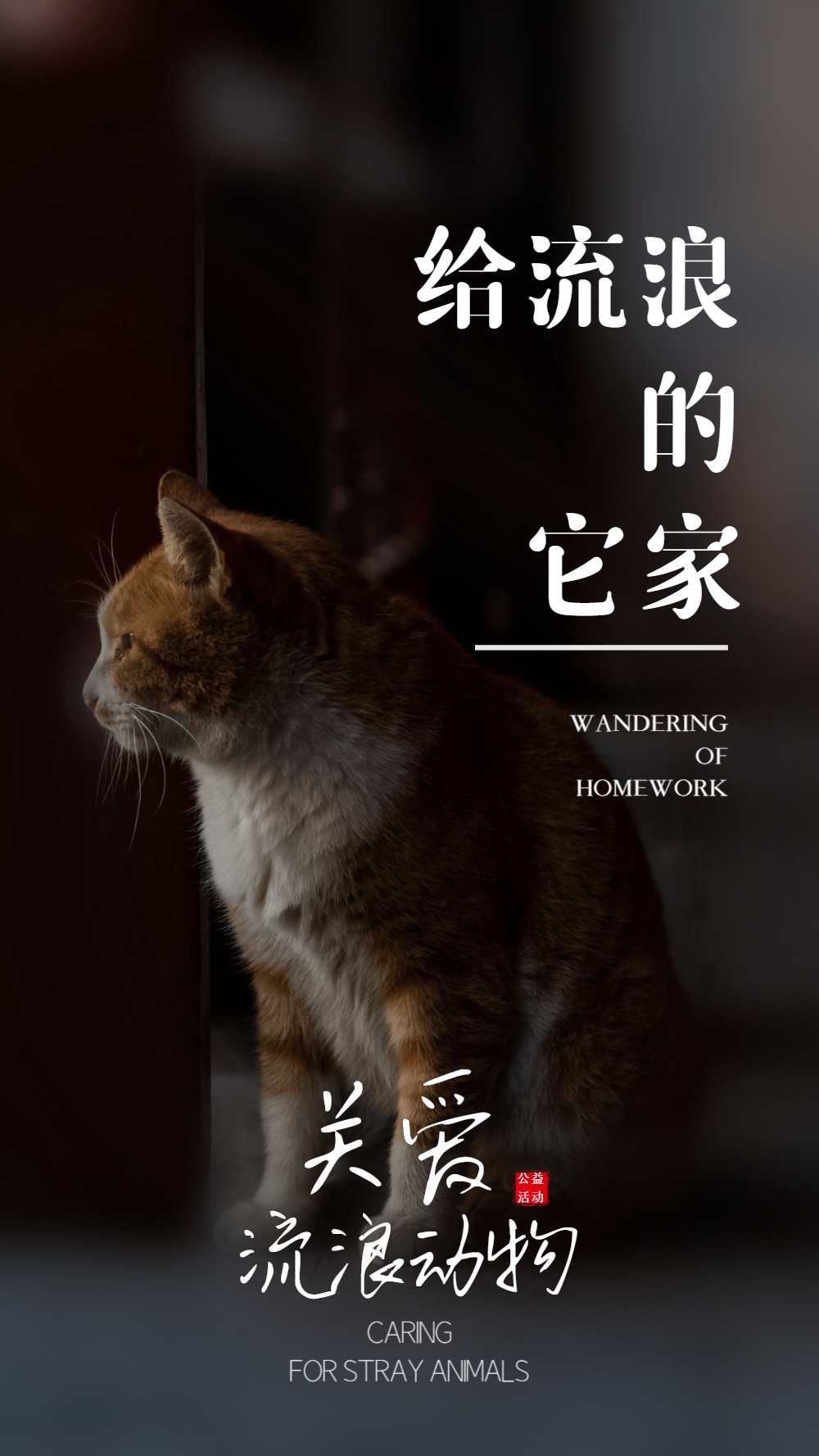 海报 动物图片-海报 动物模板-在线设计制作-图怪兽