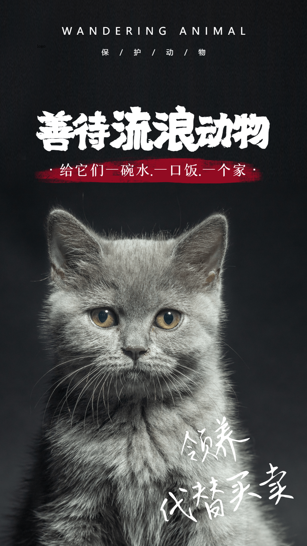 流浪动物保护图片-流浪动物保护模板-在线设计制作-图怪兽