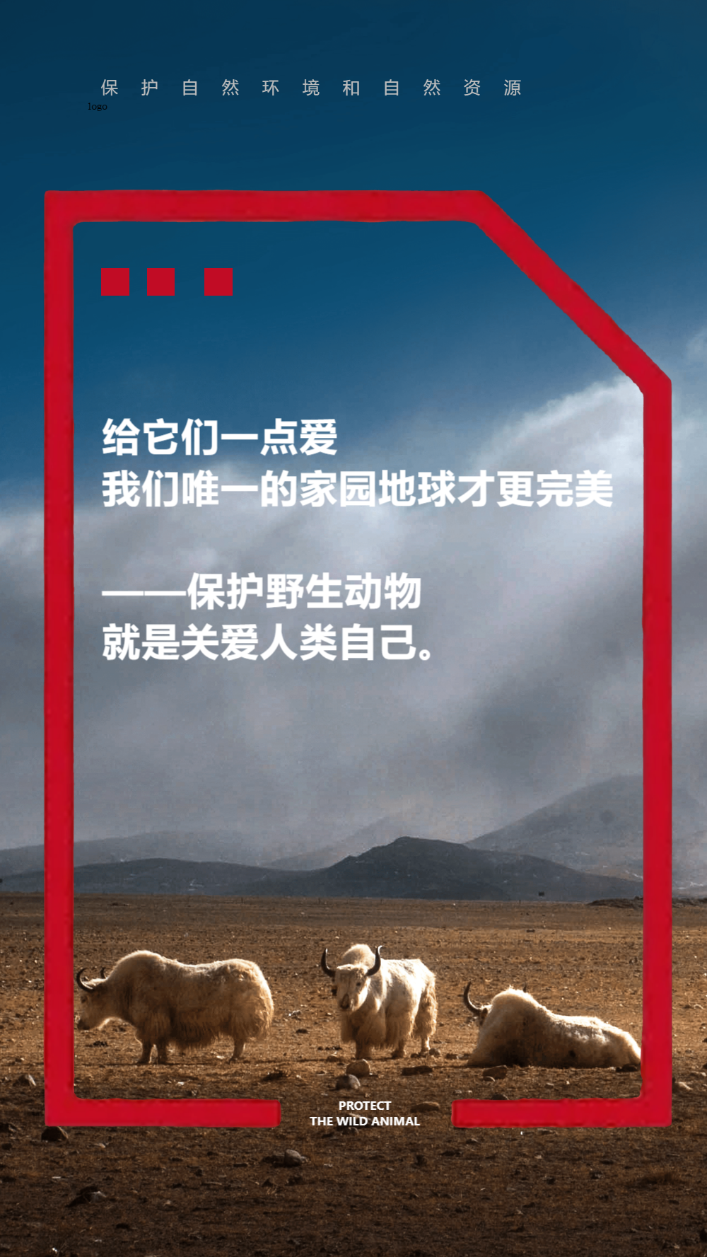 保护野生动物宣传摄影图海报