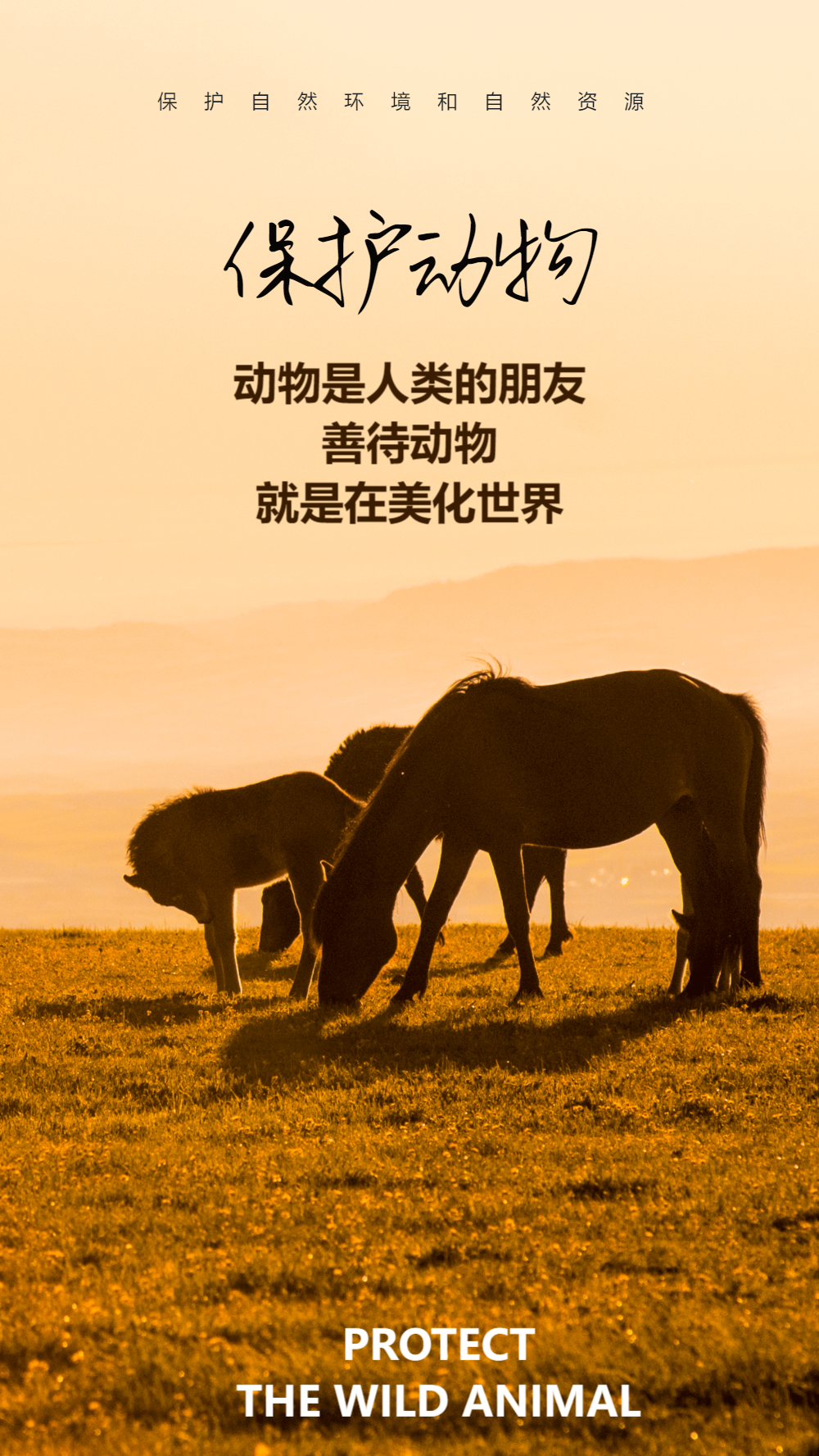 保护动物宣传摄影图海报