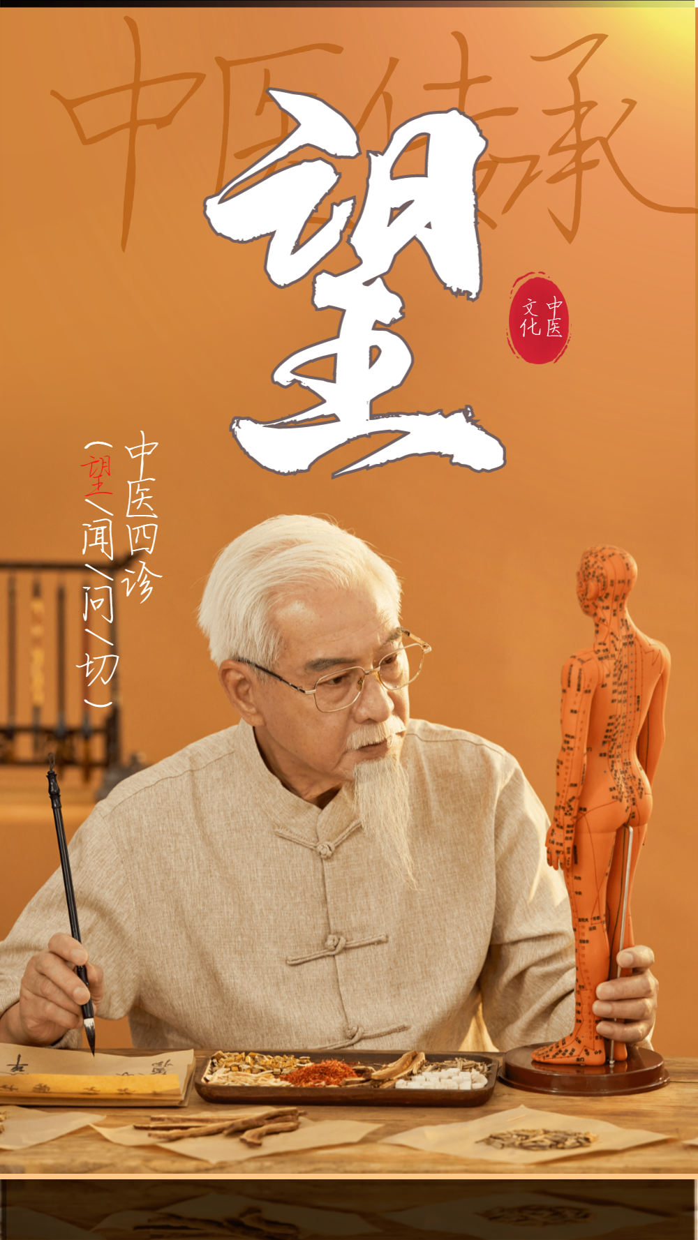 中医文化中医四诊(望)摄影图海报