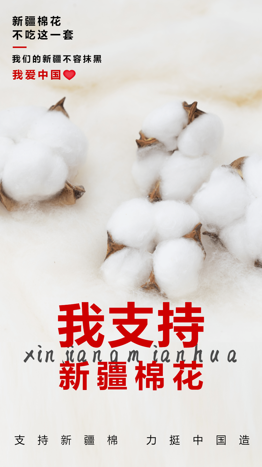 首图正版新疆棉花宣传公众号首图vip棉花早安语白色简约日签正版简约